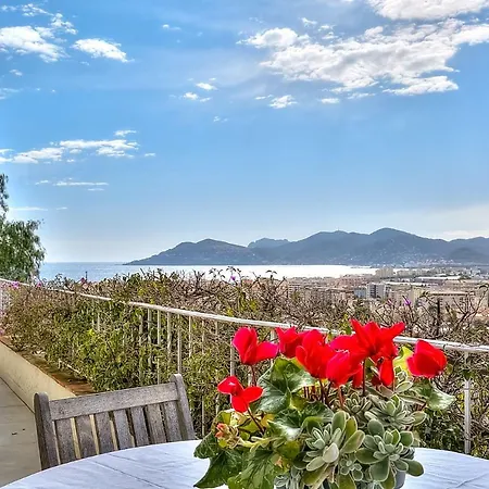 Villa Avec Vue Mer Et Espace Spa Villa Cannes